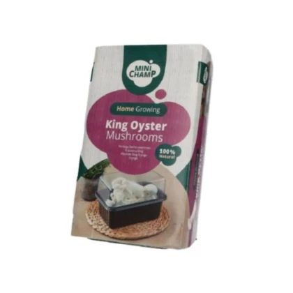 Mini Champ - súprava pre domáce pestovanie hlivy kráľovskej - Pleurotus eryngii - 1 ks
