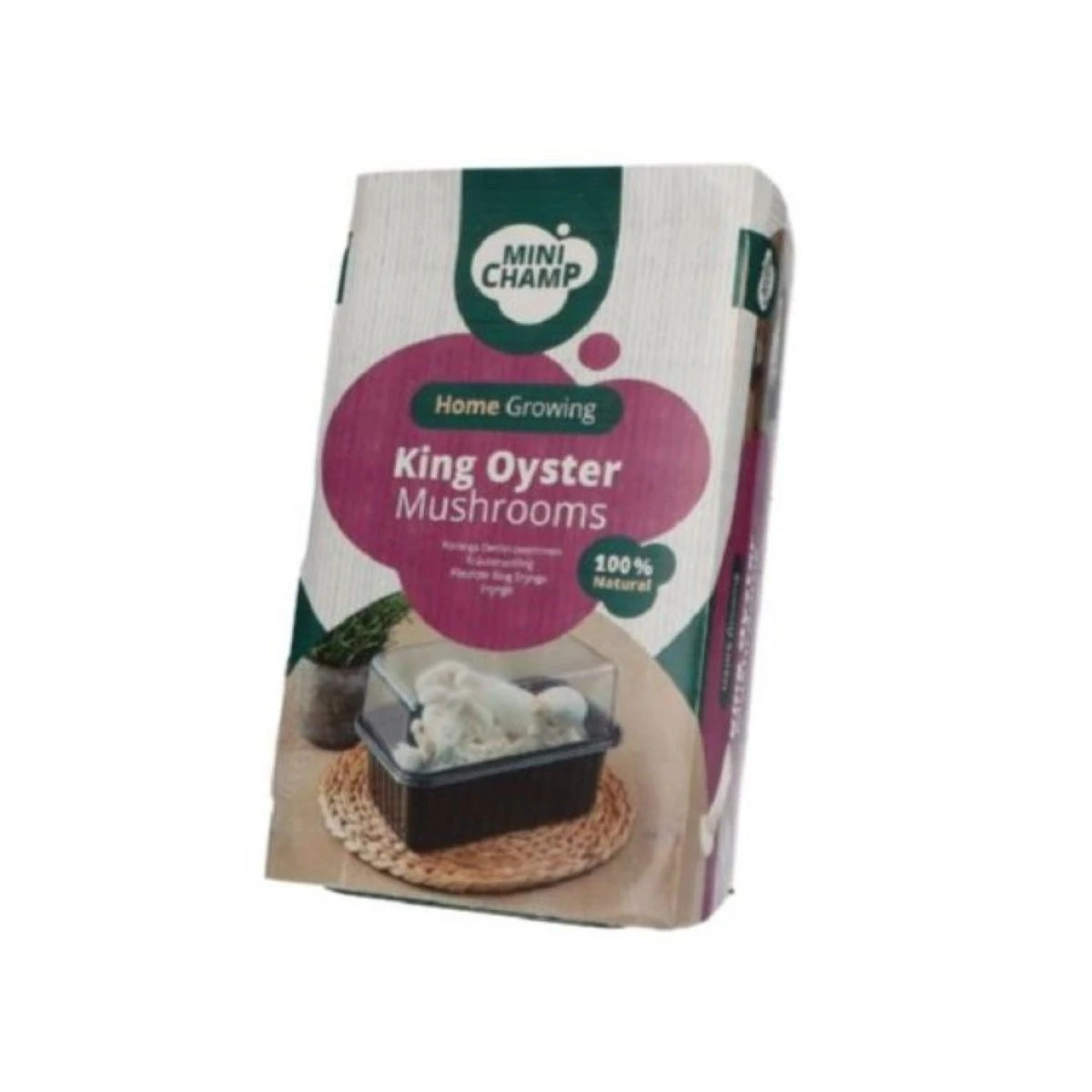 Mini Champ - súprava pre domáce pestovanie hlivy kráľovskej - Pleurotus eryngii - 1 ks