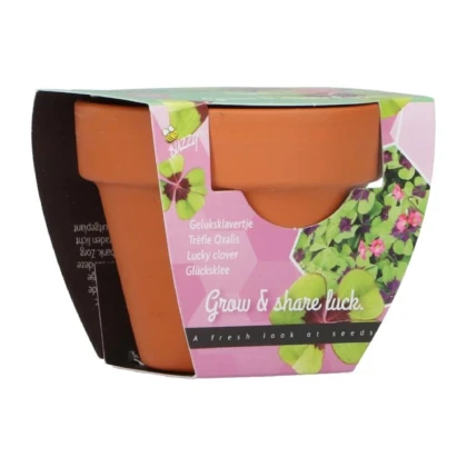 Buzzy Grow Gifts – Minisúprava na pestovanie štvorlístka - Pieterpik - 1 ks