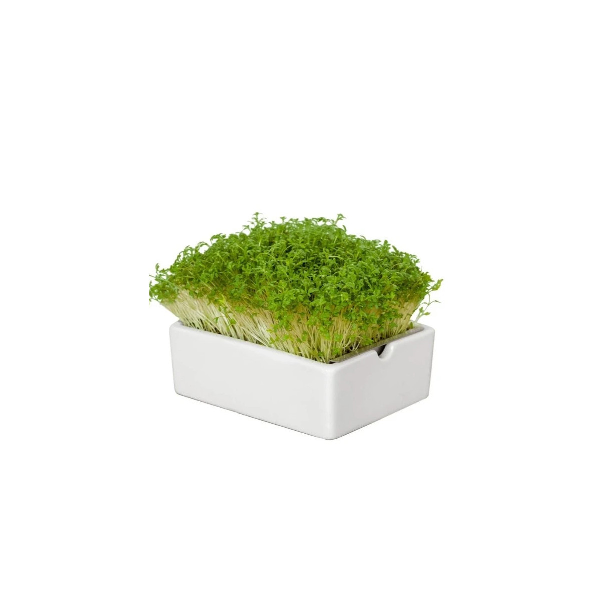BIO microgreen Žerucha - Heimgart - náhradné pláty - 1 ks