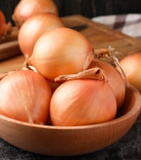 Cibuľa ozimná Augusta - Allium cepa - semená - 250 ks