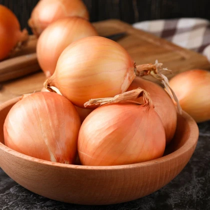 Cibuľa ozimná Augusta - Allium cepa - semená - 250 ks