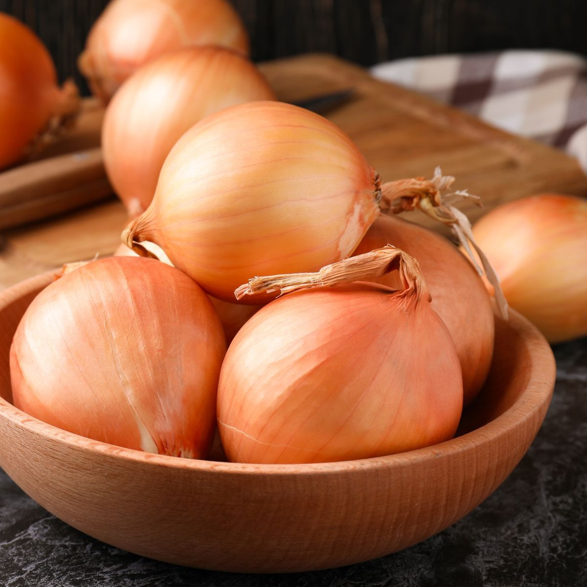 Cibuľa ozimná Augusta - Allium cepa - semená - 250 ks