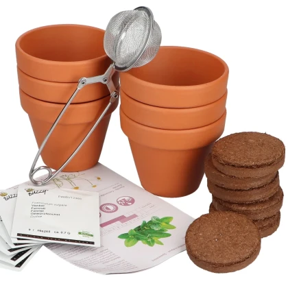 Buzzy Garden Gift - Darčeková súprava Čajová záhradka - Pieterpik - 1 balenie