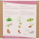 Buzzy Garden Gift - Darčeková súprava Čajová záhradka - Pieterpik - 1 balenie