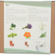 Buzzy Garden Gift - Darčeková sada Wellness - Pieterpik - 1 balenie