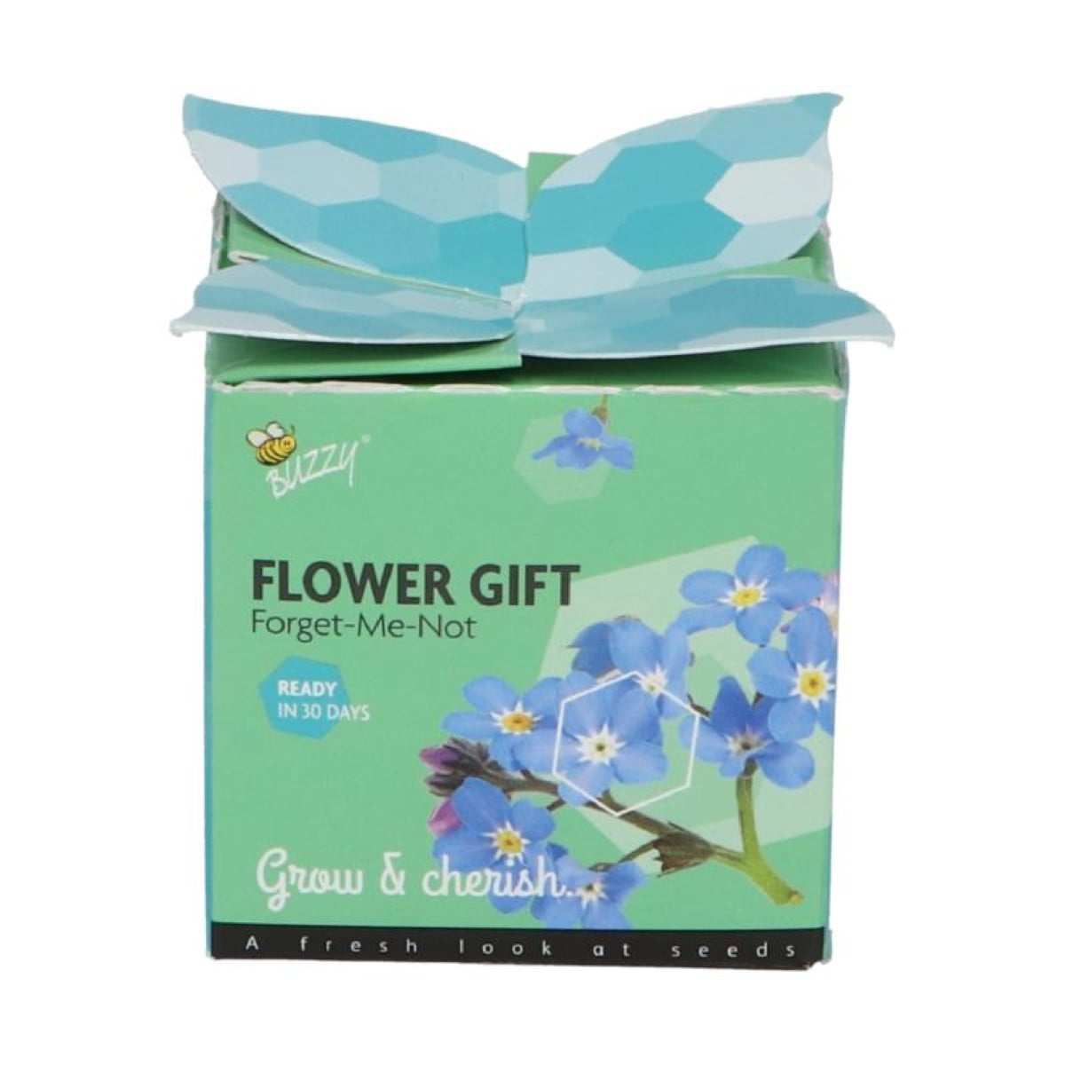 Buzzy Flower Gift - Minisada na pestovanie nezábudky - Pieterpik - 1 ks