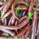 BIO chilli Cayenne Chocolate – semená chilli 8 ks | Semena.cz