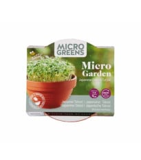 Tatsoi v terakotovej miske – Buzzy Microgreens – Pieterpik