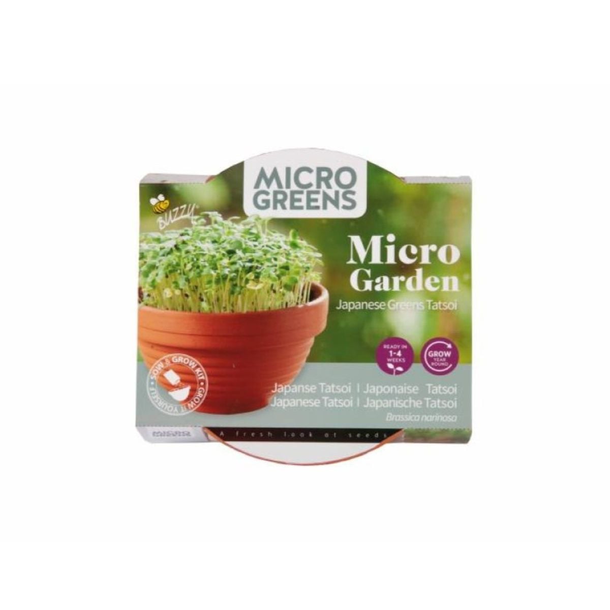 Tatsoi v terakotovej miske – Buzzy Microgreens – Pieterpik