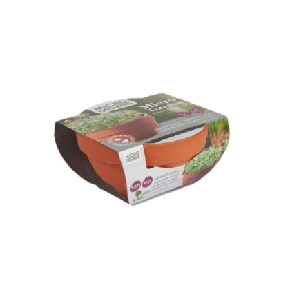 Tatsoi v terakotovej miske – Buzzy Microgreens – Pieterpik