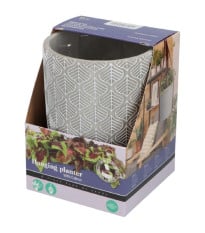 Buzzy House Plants – Súprava s africkou žihľavou – Pieterpik