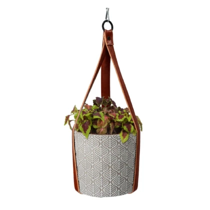 Buzzy House Plants – Súprava s africkou žihľavou – Pieterpik