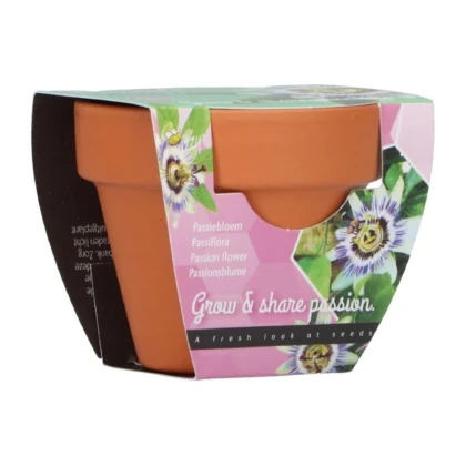 Mini súprava na pestovanie mučenky – Buzzy Grow Gift – Pieterpik