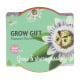 Mini súprava na pestovanie mučenky – Buzzy Grow Gift – Pieterpik