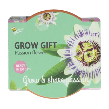 Mini súprava na pestovanie mučenky – Buzzy Grow Gift – Pieterpik