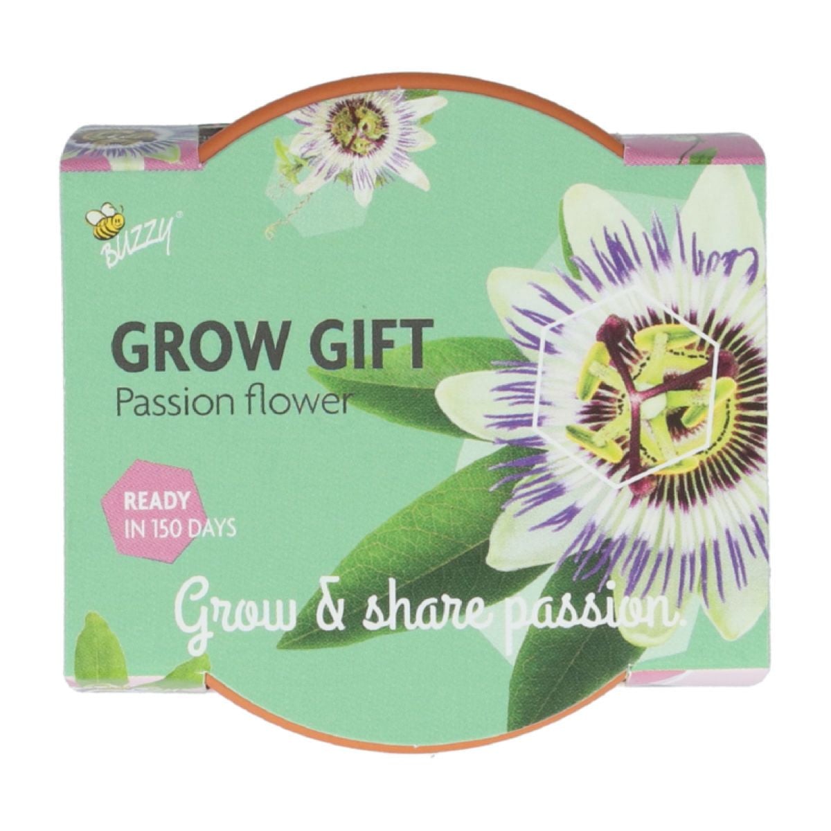 Mini súprava na pestovanie mučenky – Buzzy Grow Gift – Pieterpik