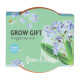 Mini súprava na pestovanie nezábudky – Buzzy Grow Gift