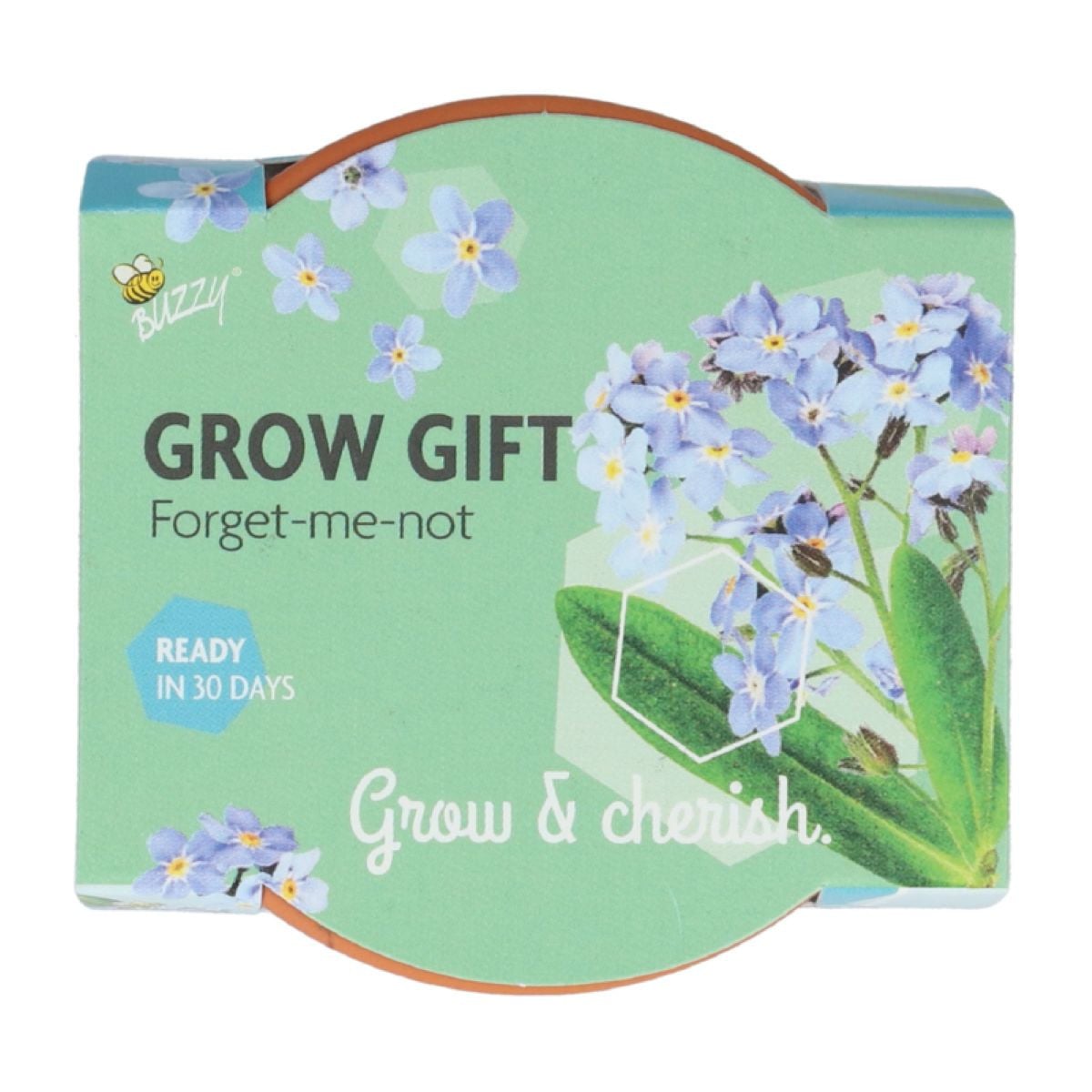 Mini súprava na pestovanie nezábudky – Buzzy Grow Gift