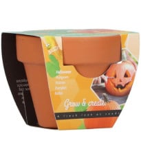 Mini súprava na pestovanie tekvice – Buzzy Grow Gifts