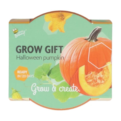 Mini súprava na pestovanie tekvice – Buzzy Grow Gifts
