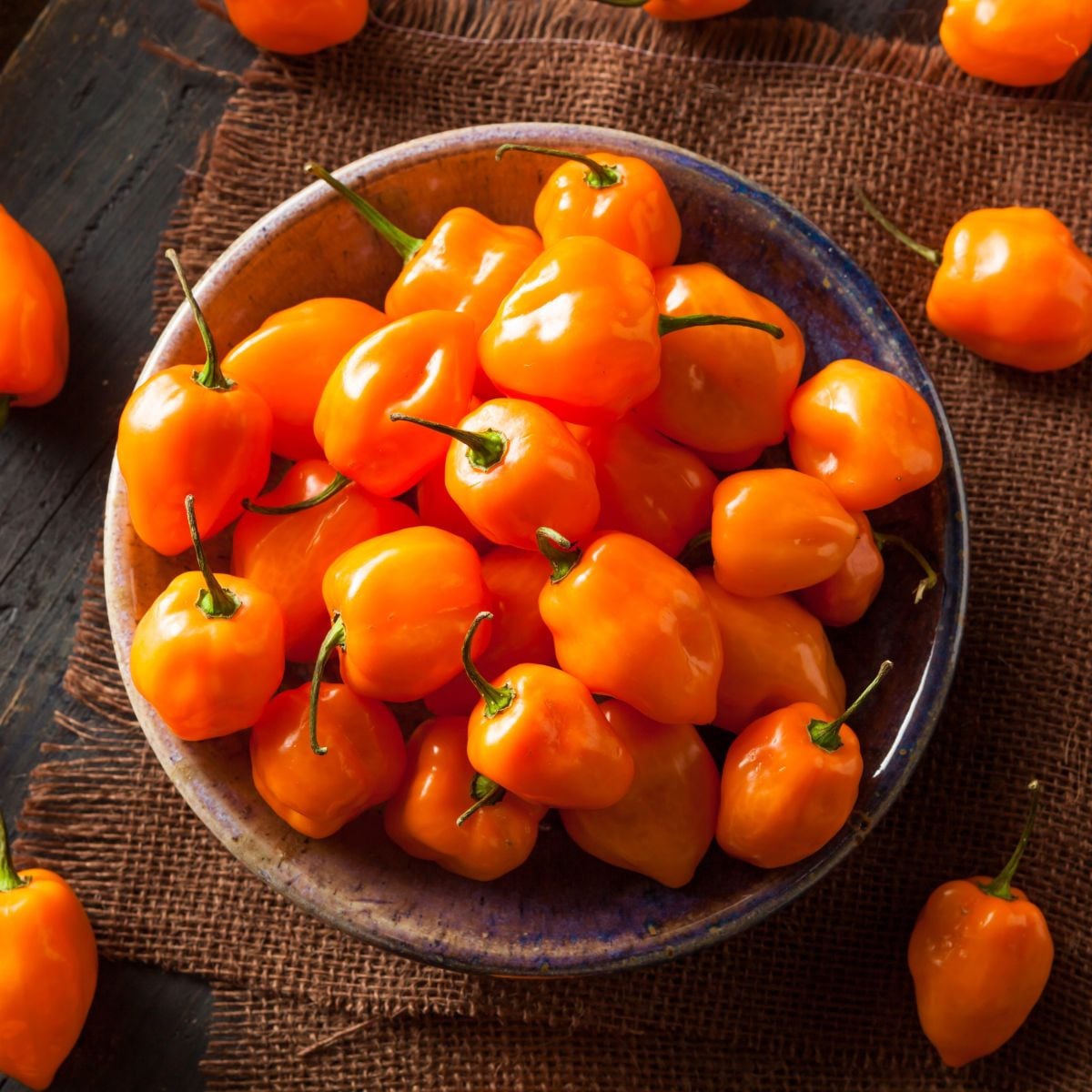 Semená čili Habanero Sevilla – Capsicum chinense