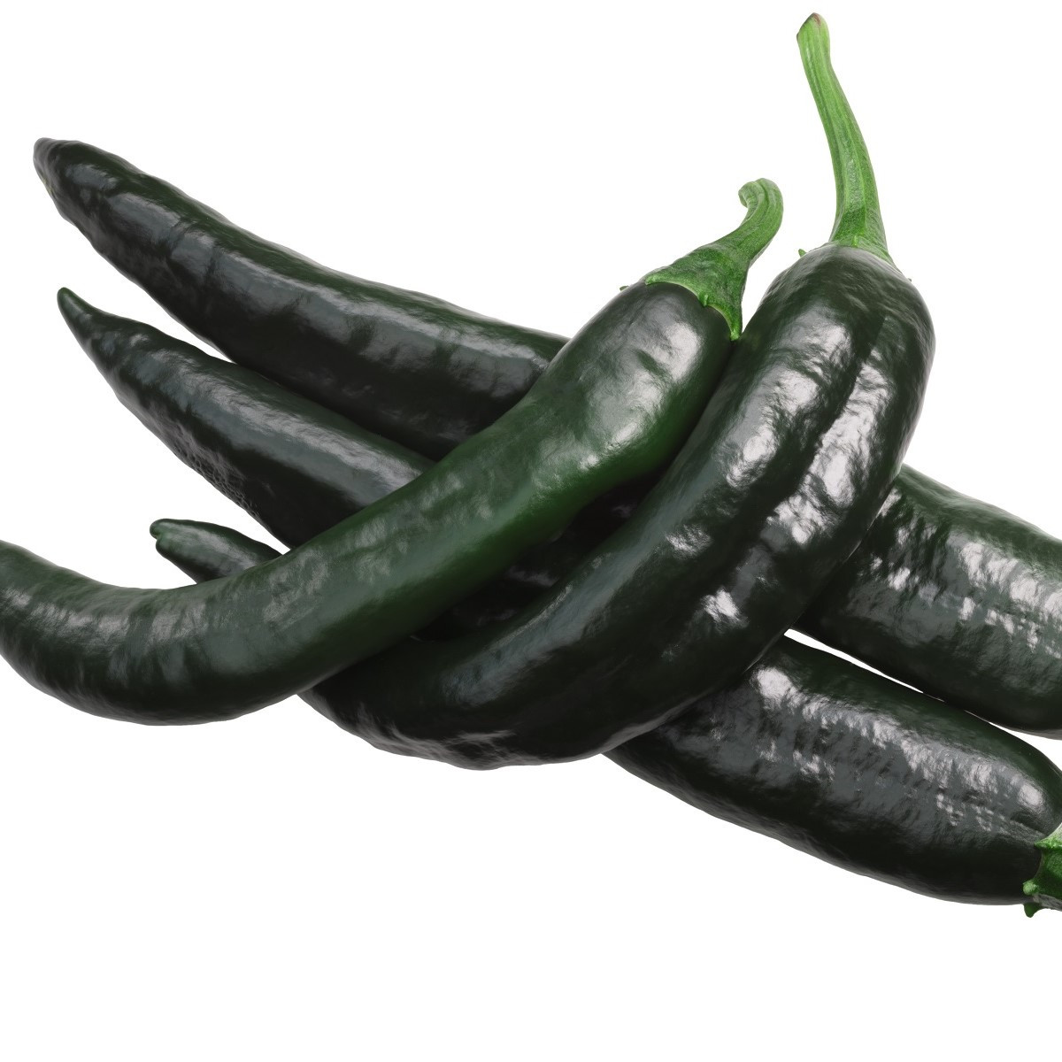 Chilli Pasilla Bajio - Capsicum annuum - semená chilli - 7 ks