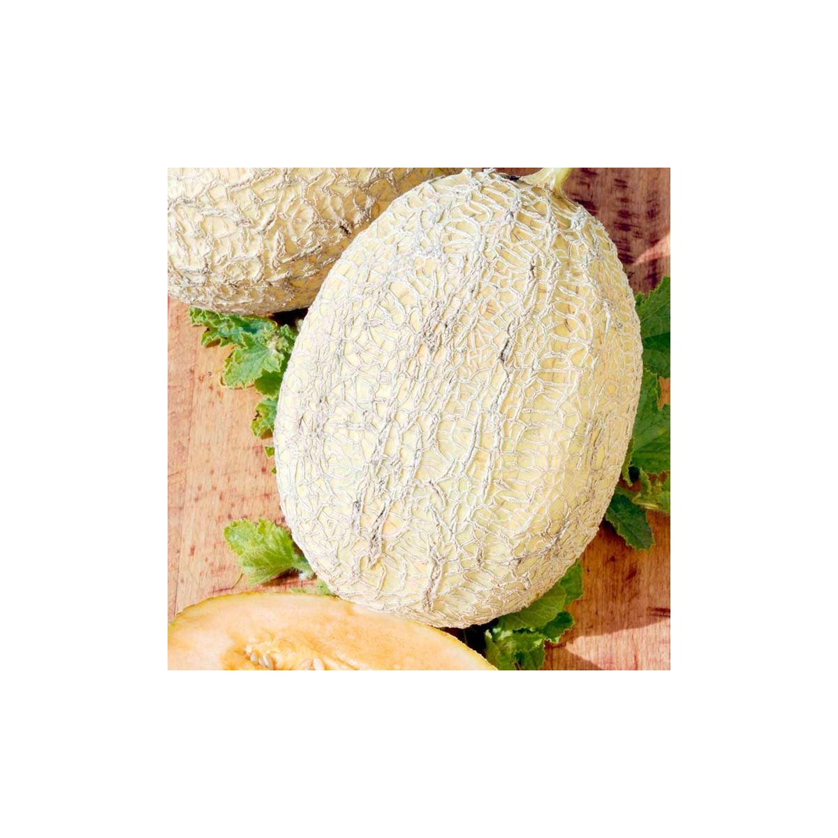Melón Emir F1 - Cucumis melo - semená melónu - 6 ks