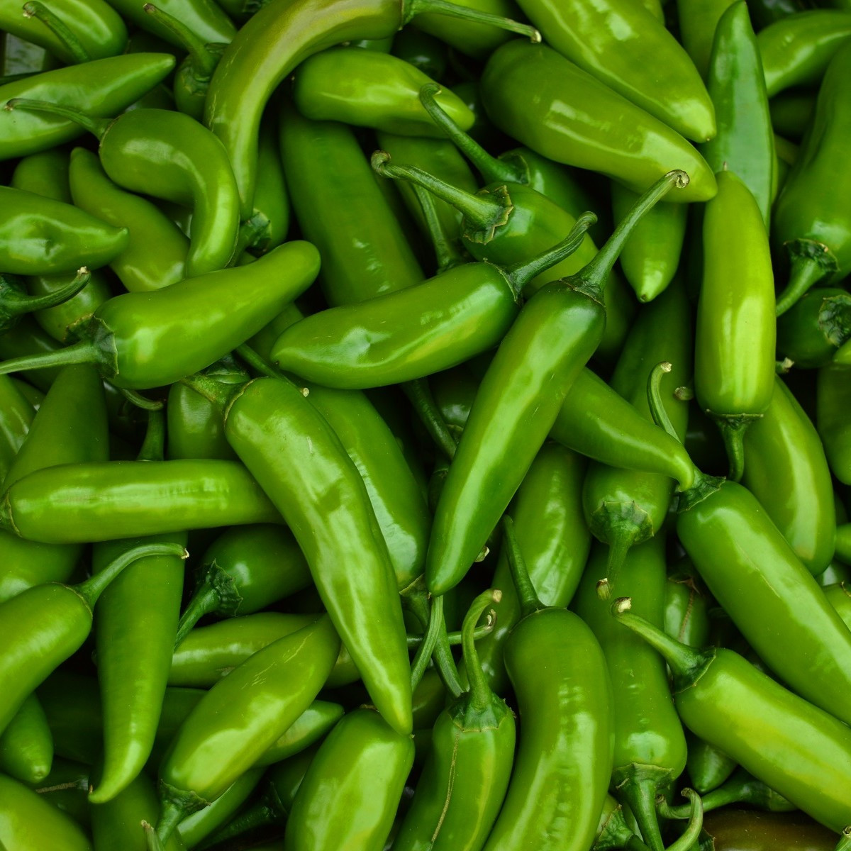 Chilli Veľký Jim - Capsicum annuum - semená chilli - 7 ks
