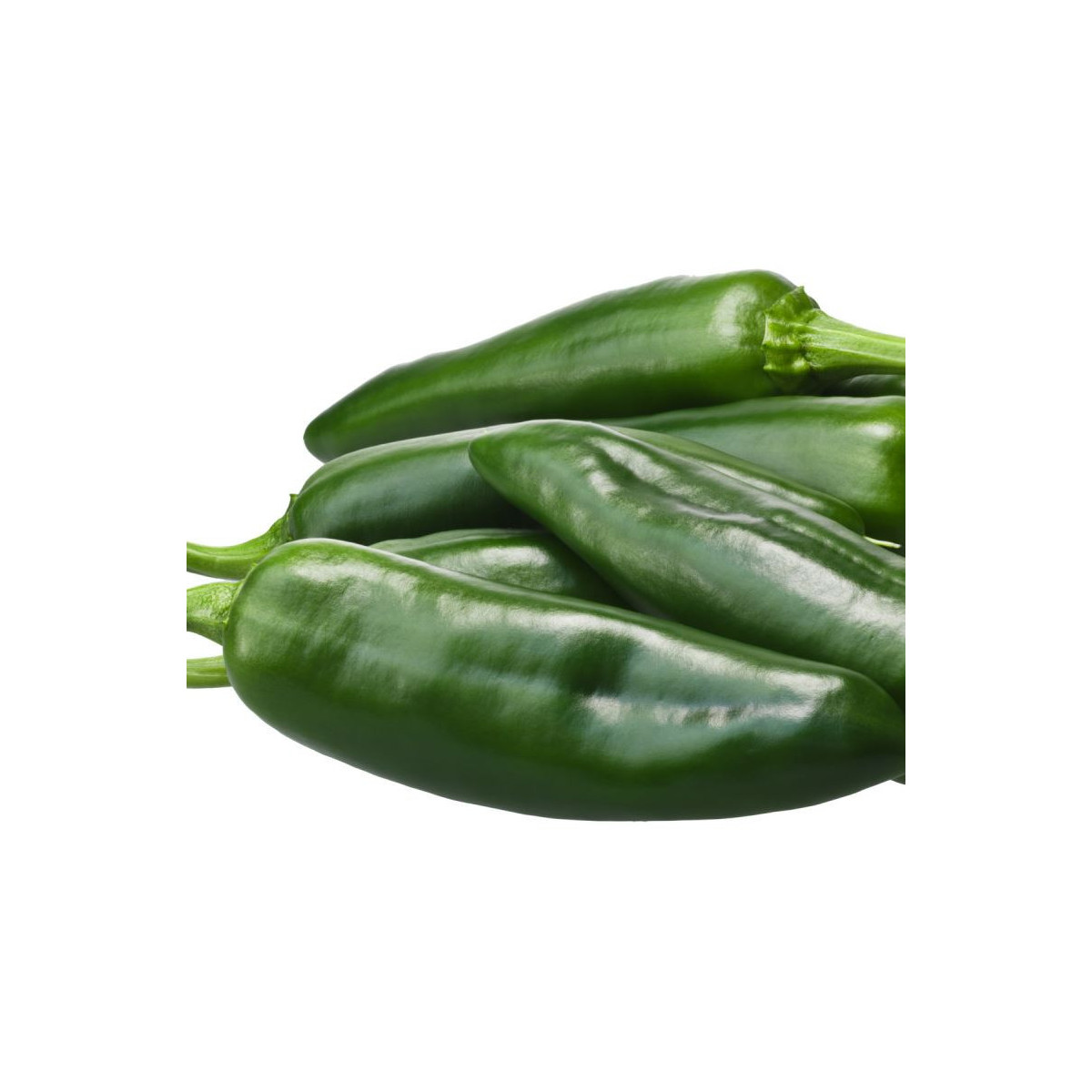 Chilli Ancho - Capsicum annuum - semená - 6 ks