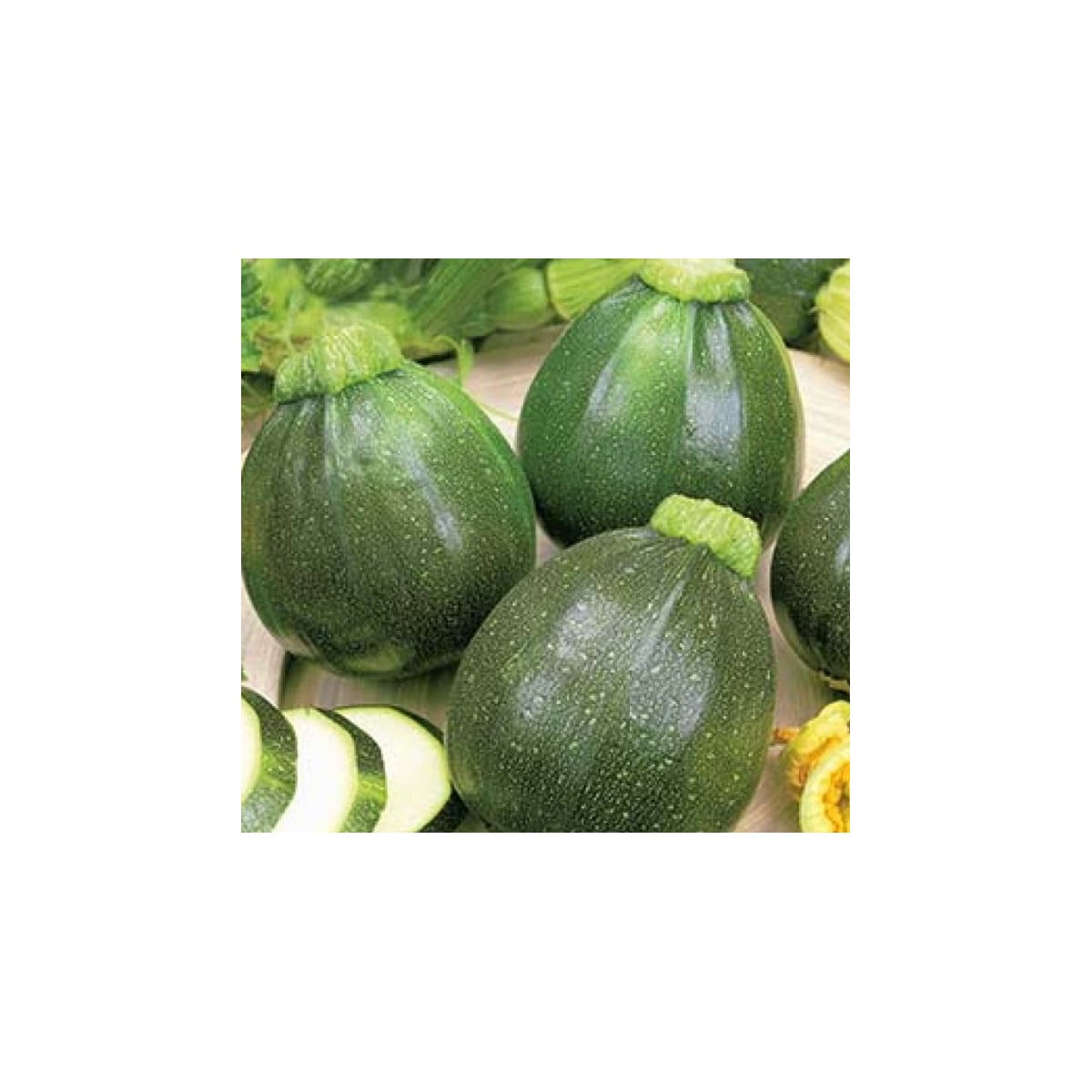Cuketa Eight Ball F1 - Cucurbita pepo - semená cukety - 4 ks