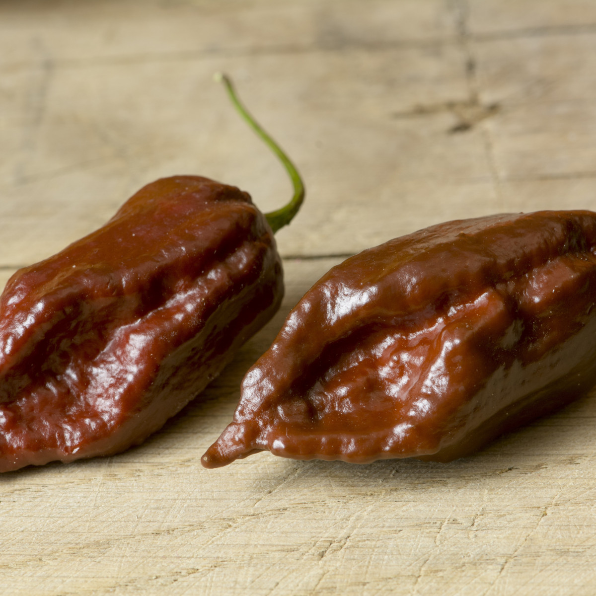 Chilli Black Naga - Capsicum Chinense - semená - 6 ks