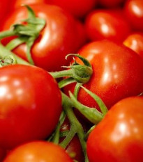 Paradajka Mercedes F1 - Solanum lycopersicum - semená paradajky - 5 ks