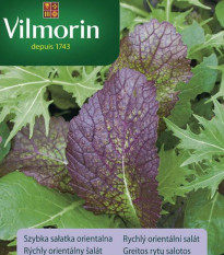 Rýchly orientálny šalát - semená - Vilmorin - 2 g