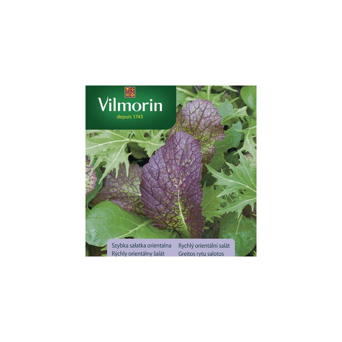 Rýchly orientálny šalát - semená - Vilmorin - 2 g