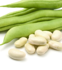 Fazuľa kríčková Dublette - Phaseolus vulgaris var. nanus - semená  - 20 ks
