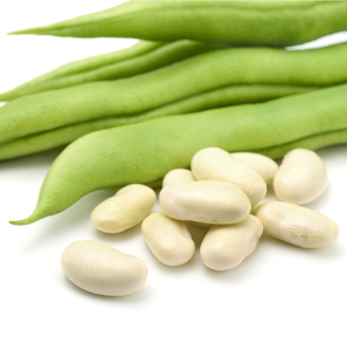 Fazuľa kríčková Dublette - Phaseolus vulgaris var. nanus - semená  - 20 ks