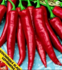 Paprika Hodonínska sladká - Capsicum annum - semená - 90 ks