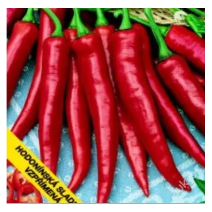 Paprika Hodonínska sladká - Capsicum annum - semená - 90 ks