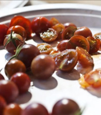 Paradajka Brown berry - Solanum Lycopersicum - semená paradajok - 6 ks