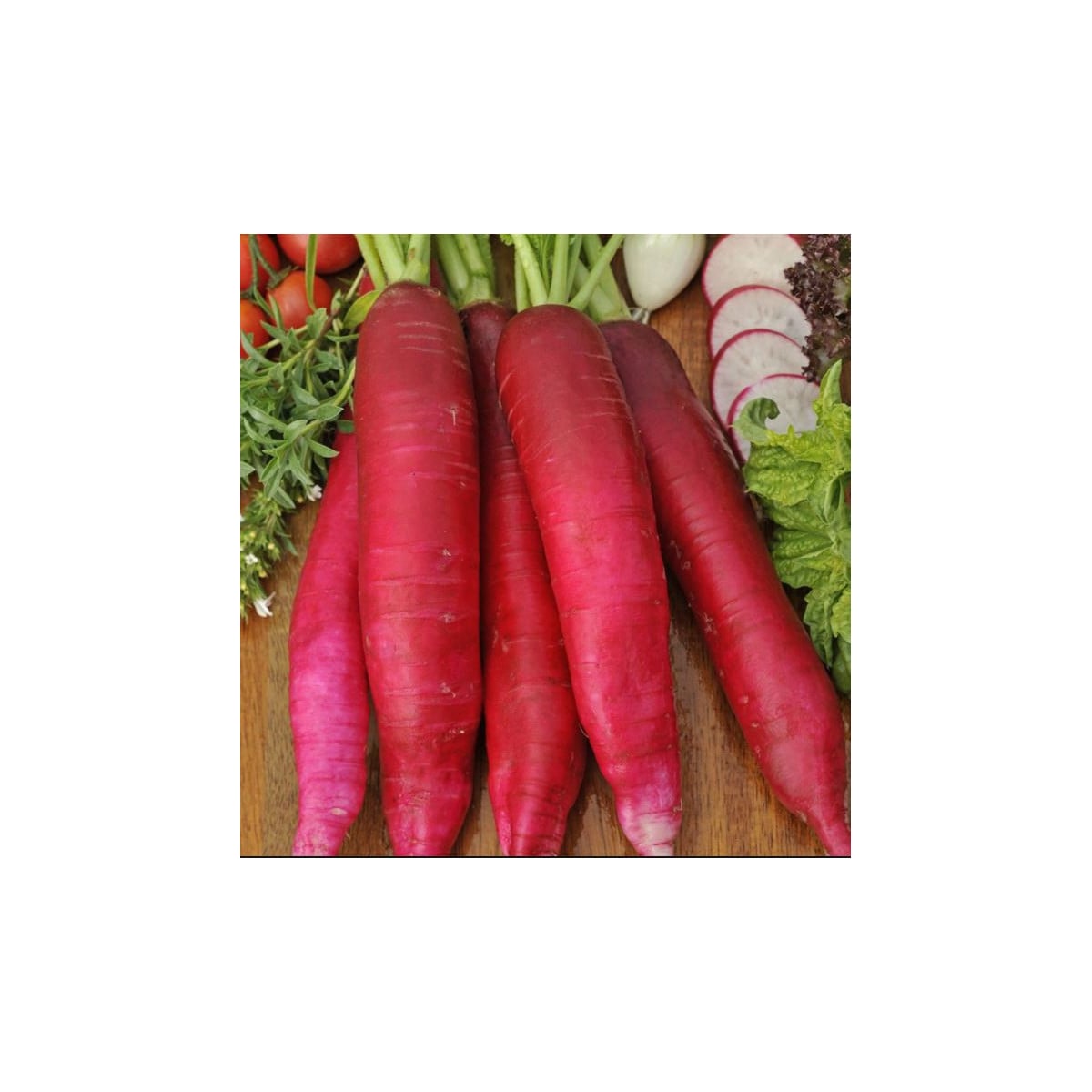Reďkev Ostergruss Rosa 2 - Raphanus sativus - semená - 80 ks