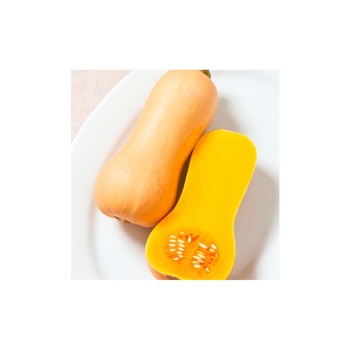 BIO Tekvica muškátová Butterscotch F1 - Cucurbita moschata - bio semená tekvice - 5 ks