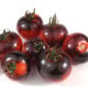 BIO paradajka Black Zebra - Solanum lycopersicum - bio semená paradajky - 7 ks