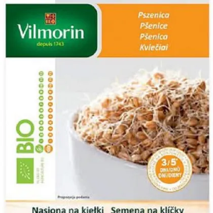 BIO semená na klíčky - Pšenica - Vilmorin - 40 g