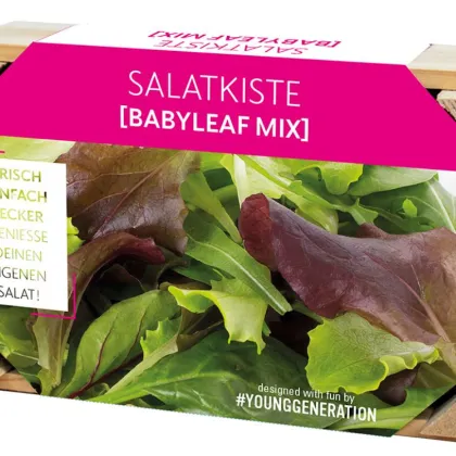 Pestovateľská sada na šaláty s dreveným kvetináčom - 1 ks