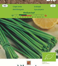 BIO Pažítka Medium Leaf - Allium schoenoprasum L. - bio semená pažítky - 1 g