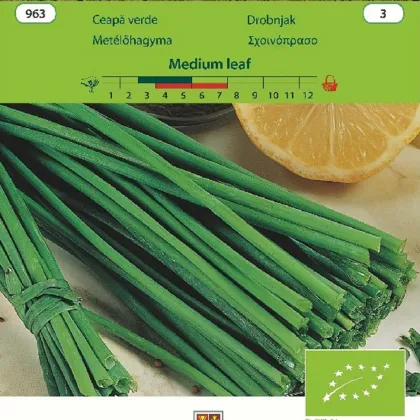 BIO Pažítka Medium Leaf - Allium schoenoprasum L. - bio semená pažítky - 1 g