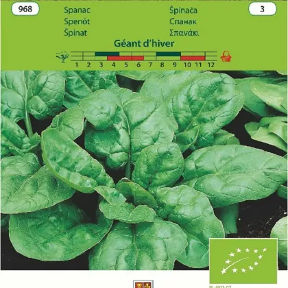 BIO špenát Geant d'hiver - Spinacia oleracea - bio semená špenátu - 10 g