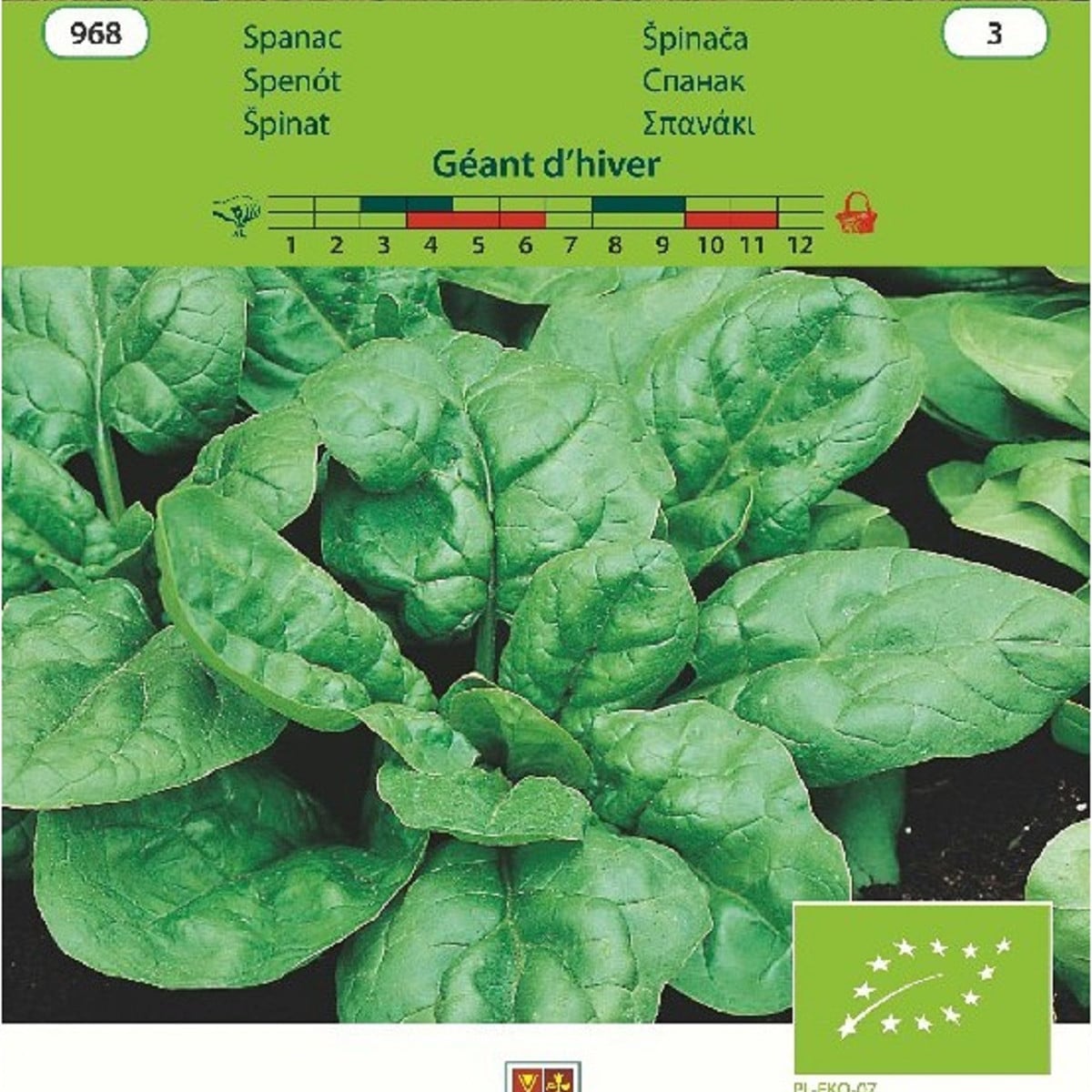 BIO špenát Geant d'hiver - Spinacia oleracea - bio semená špenátu - 10 g