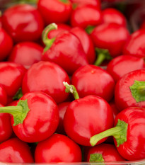 Paprika rajčinová Ontara - Capsicum annuum - semená - 40 ks